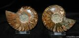 Stunning Inch Split Ammonite (Pair) #372-2